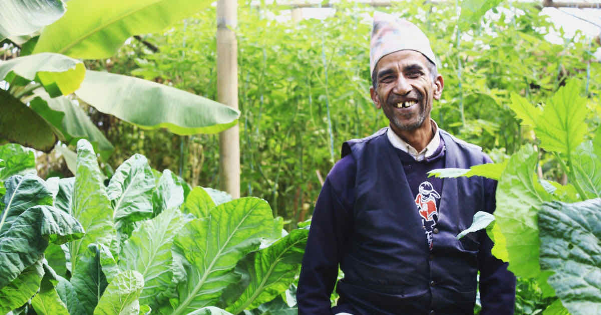 Punya Prasad Pokharel