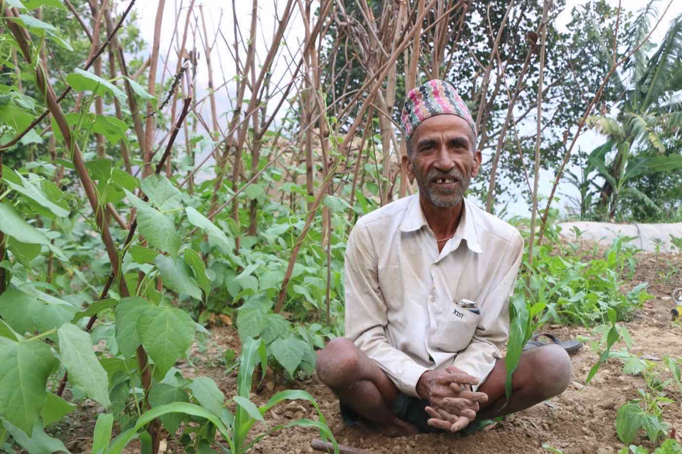 A community farmer seated among healthy vegetable crops