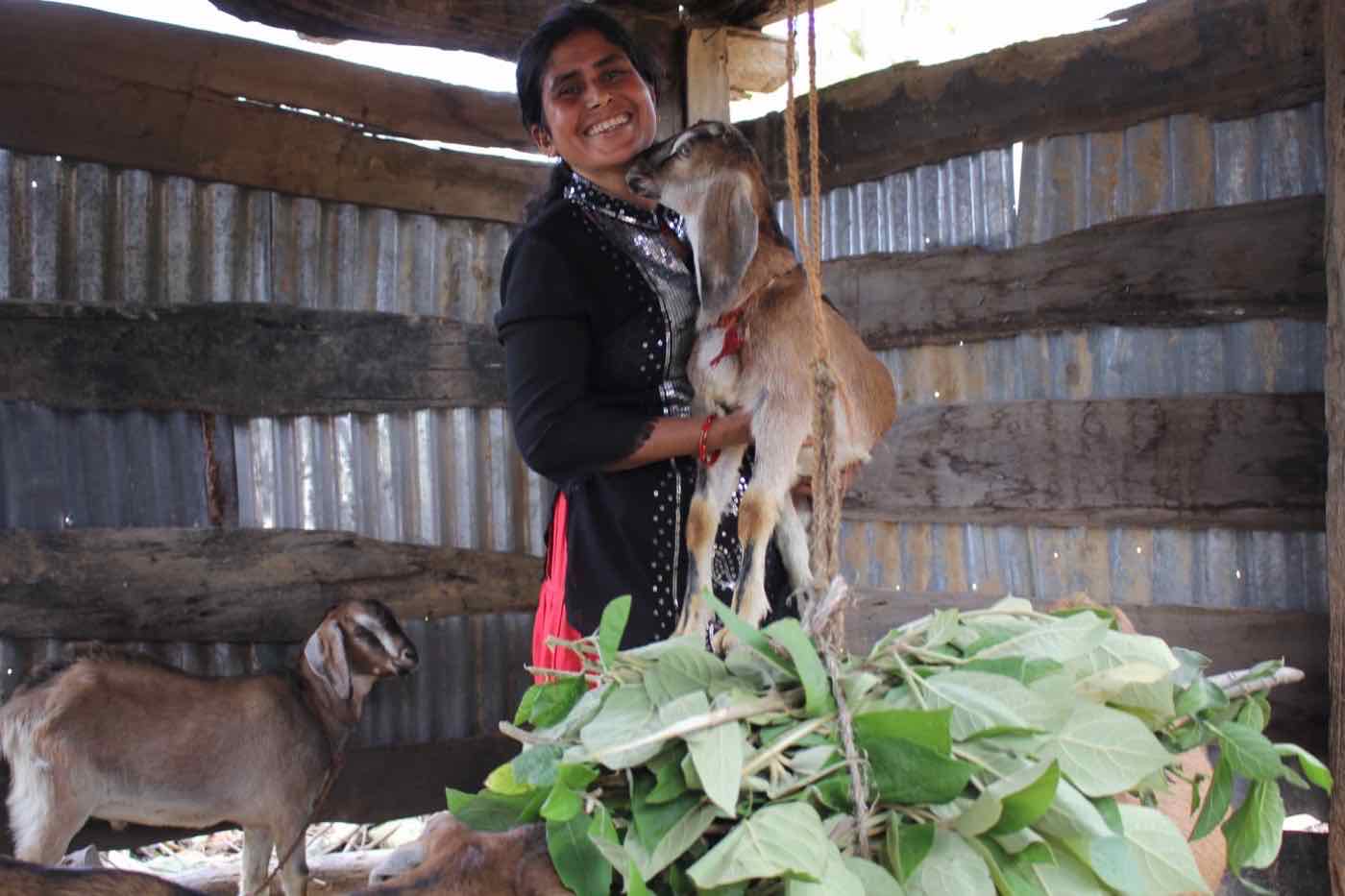 A woman holding a young goat in her shed as part of an e-WDC livestock livelihood