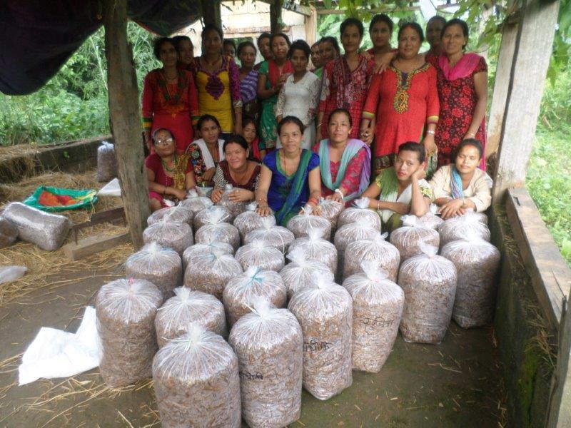 An e-WDC women's group standing behind rows of finished mushroom growing bags