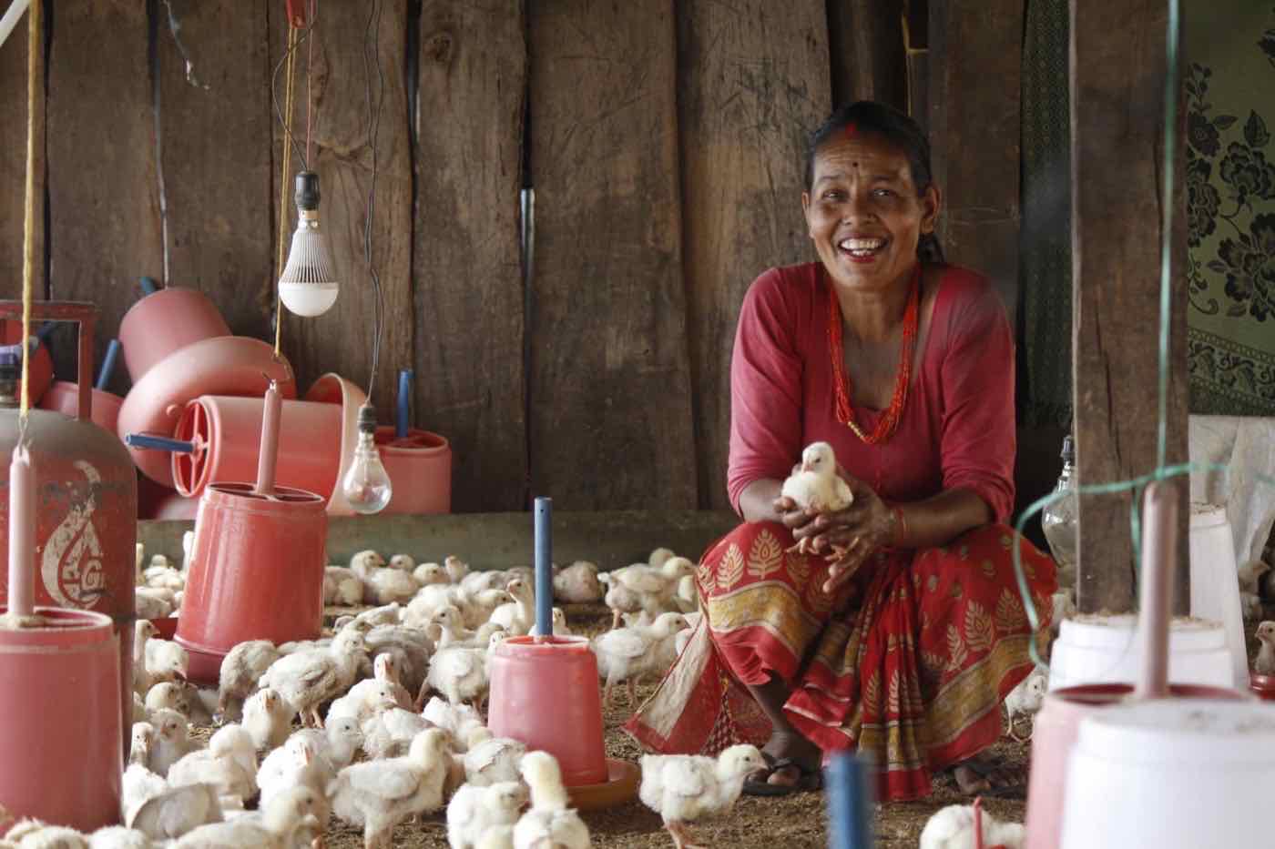 Women preparing straw for mushroom cultivation during an e-WDC livelihood training