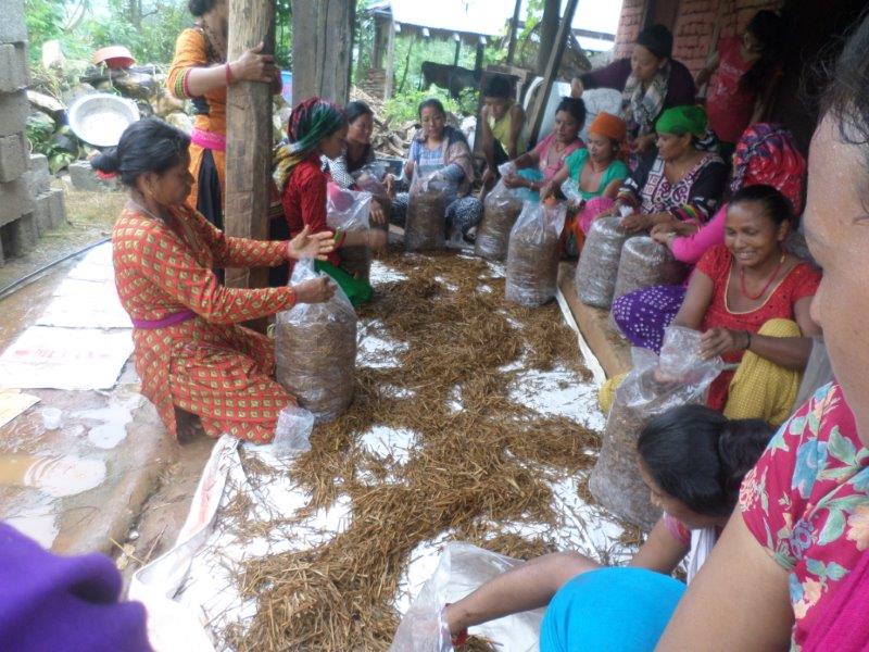 A woman smiling in her poultry shed, an e-WDC livelihood enterprise in Makwanpur