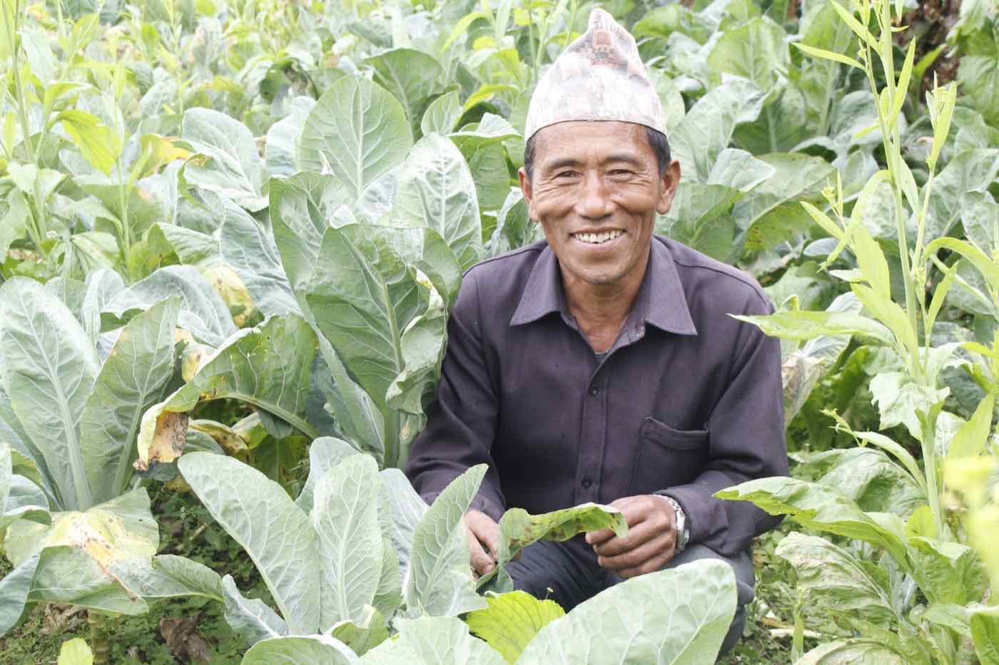 A farmer crouching among healthy vegetable crops grown with Hope Project support